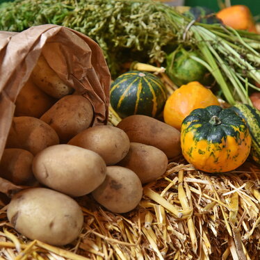 Kartoffeln, Möhren und Kürbis auf Stroh zu Erntedank