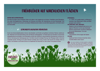 Erste Seite des Dokuments „Frühblüher auf kirchlichen Flächen“