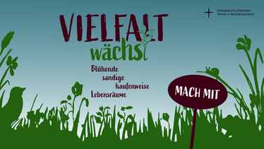 Vielfalt wächst, blühende sandige haufenweise Lebensräume