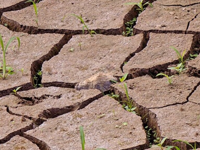 Zur Veranstaltung „Klimawandel – eine unterschätzte Fluchtursache“