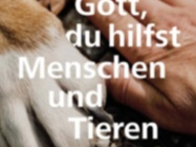 Zur Veranstaltung „Ökumenischer Tag der Schöpfung“
