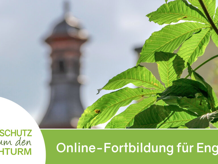 Zur Veranstaltung „Energiemanagement - Was bringts?“