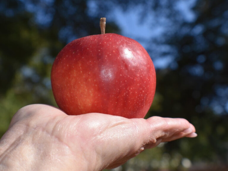 Zur Veranstaltung „Paradising – Ist das Paradies mehr als ein Werbespruch?“