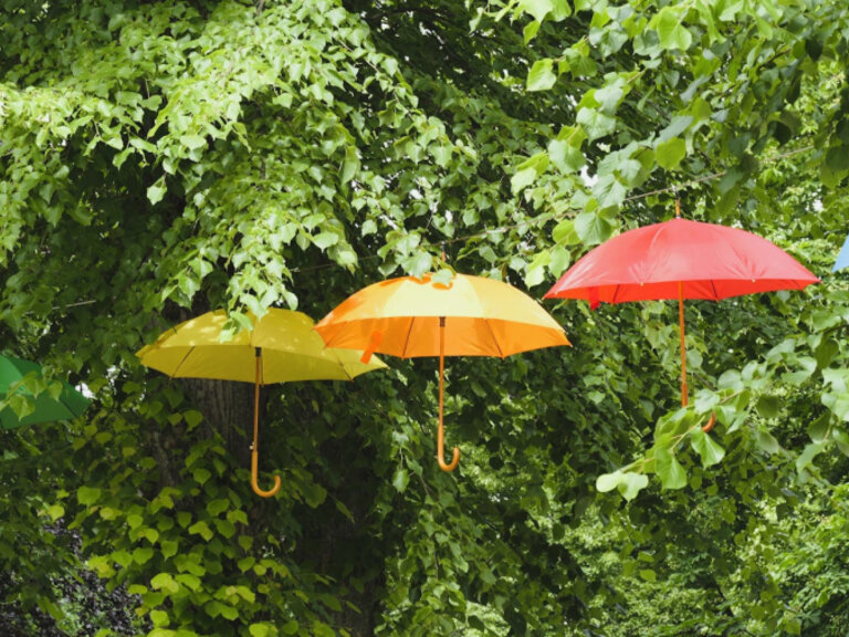 Zur Veranstaltung „Natürlicher Klimaschutz – Naturbasierte Lösungen für eine lebenswerte Zukunft“