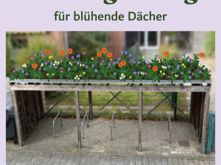Zur Veranstaltung „Blühende Dächer: Workshop zu Dachbegrünung“