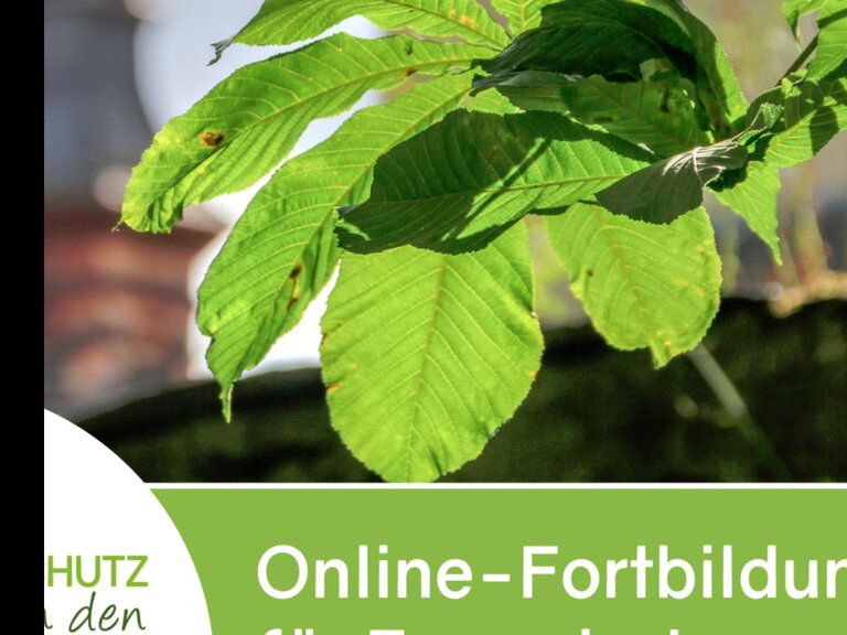 Zur Veranstaltung „Energiemanagement - Was bringts?“